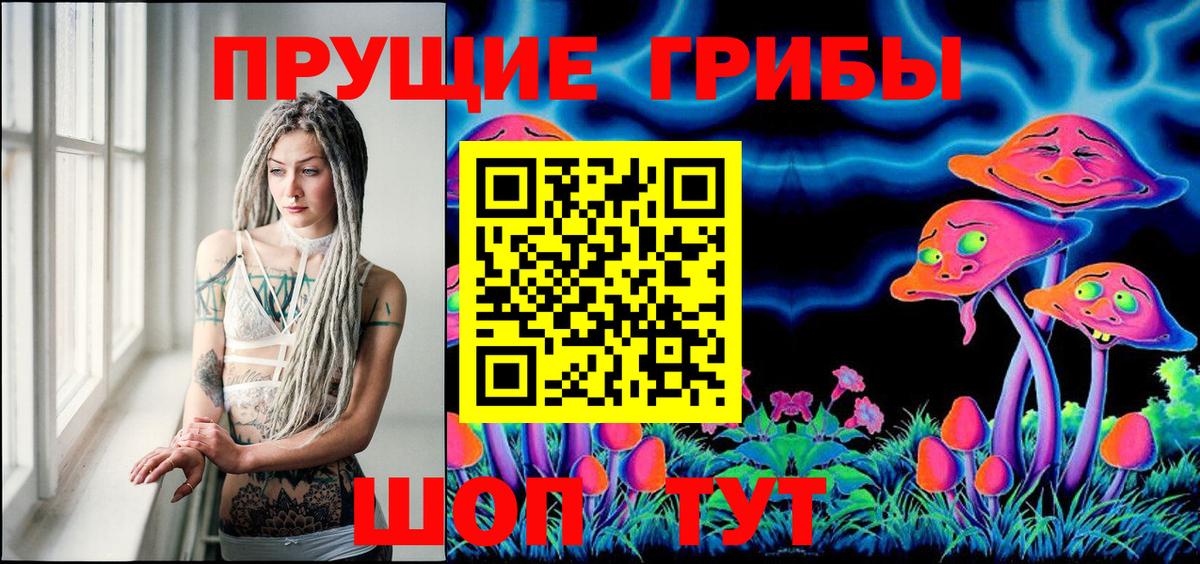 Псилоцибиновые грибы Magic Shrooms  закладка  Вход с VPN  Гусев  Галлюциногенные грибы GOLDEN TEACHER 